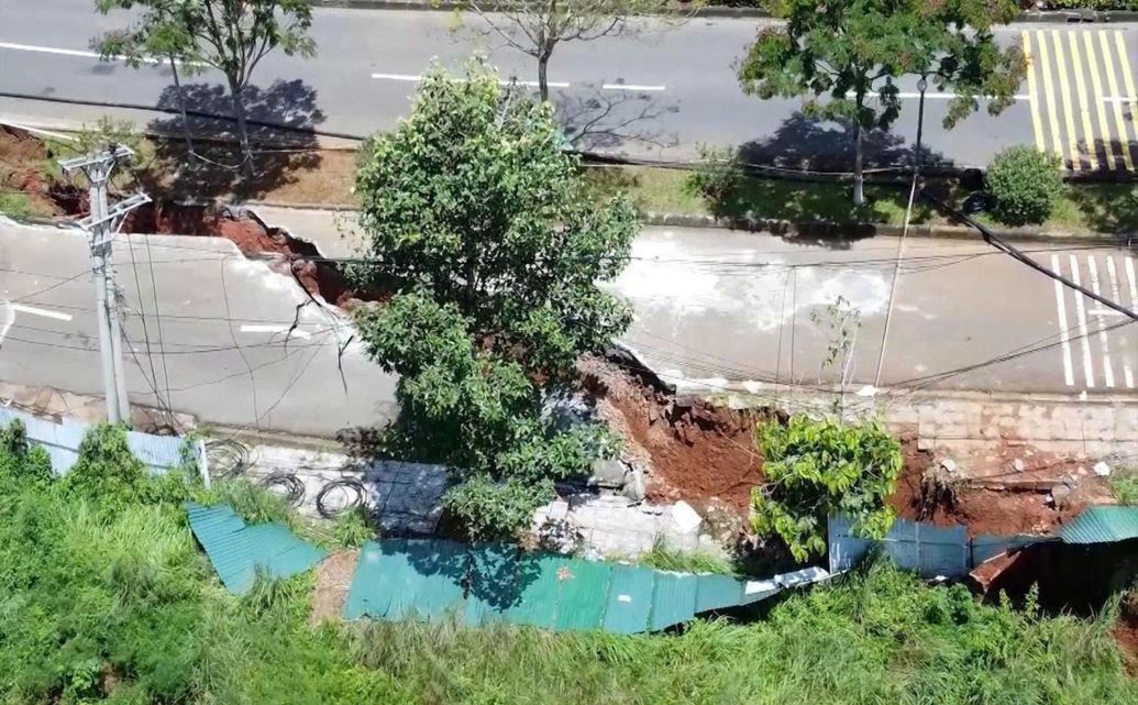 Chặt hạ cây xanh, khi nào cần xin phép?